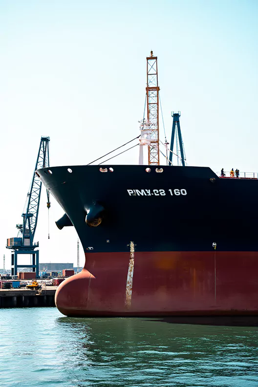 Marine Hull Loss/ Damage Investigation Surveys: close-up of a cargo ship's bow and bulbous bow moored at a Malaysian port, showing hull paint wear, draft markings and dock cranes in the background. Marine Hull Loss/ Damage Investigation Surveys in Malaysia: detailed photograph of the forward hull of a freighter berthed at a busy Malaysian seaport, highlighting scraped and worn hull paint, localized rust streaks and fouling near the bulbous bow, clear draft scale numbers, survey personnel access points and industrial cranes above, intended to illustrate sites for loss assessment and structural inspection.